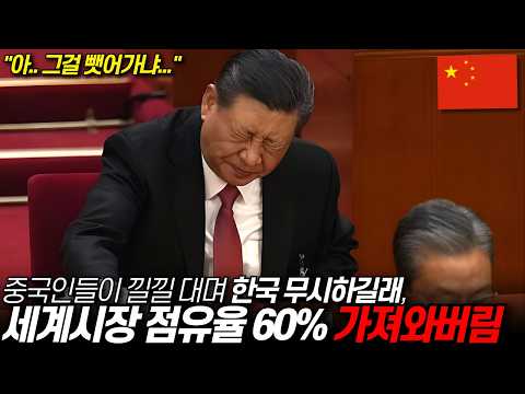 중국인들이 깰낄대며 한국 무시하길래 세계 시장 점유율 60% 가져와버림 / 디씨멘터리