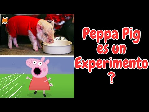 5 Teorias de Peppa Pig y su familia. Es la familia Pig un experimento? #historia #peppapig #teoria