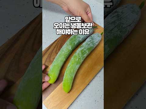 여름철에는 무조건 오이 냉동 보관 하세요!! 온 가족이 사랑하는 오이 요리가 됩니다.