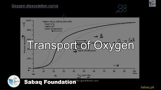 Transport of Oxygen