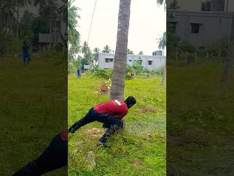 சபரிநாதன் தென்னை மரம் வெட்டும் வேலை பட்டுக்கோட்டை 8072635013