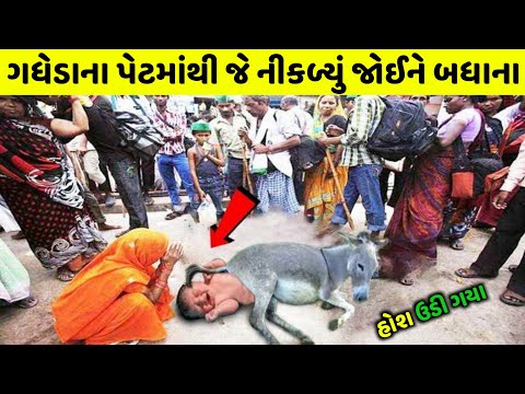गधे के पेट से जो निकला उसे देख पुरी दुनिया हैरान है inspirational story ! GJ Mashup