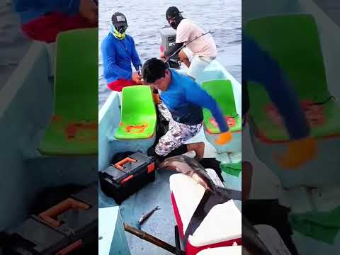 A moment of fishing in the middle of the sea