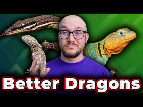 You DON'T Want a Bearded Dragon! 5 BETTER Beardie Alternatives!