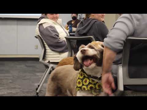 Self-Love Workshop features Ohio Therapy Dogs