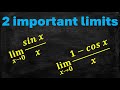 Exploring Two Key Limits with the Squeeze Theorem