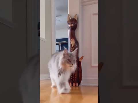 Когда камера оказалась в нужное время 😍 #shorts