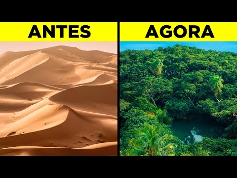 Como O Deserto Do Saara Está Se Transformando Em Uma Floresta