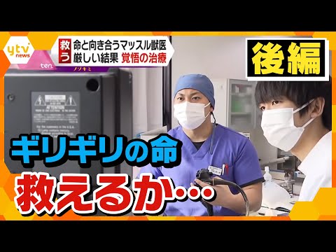 ペットの命を救う マッスルパワー獣医【後編】