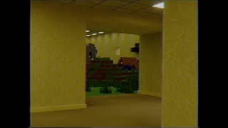 Minecraft in backrooms? (Found Footage)