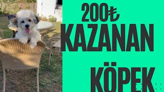 Para ödüllü yarışmayı bakın kim kazandı
