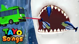 ✨New✨ Gray Reef Shark 🦈 | Tayo Shark Song | Tayo Nursery Rhymes and Kids Songs