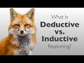 Deductive vs Inductive Reasoning Concepts