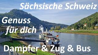 Sächsische Schweiz Genuss Dampfer Zug Erholung Entspannung Wandern Natur