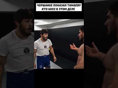 Чоршанбе ПОКАЗАЛ Тамаеву что не стоит на него газовать 🤫