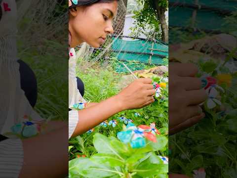 স্বাধীনতা দিবস এর আগেই আমি বাগানের ফুল গুলোকে তেরঙ্গারঙের পতাকা বানিয়ে দিলাম independence day craft