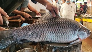 Amazing Huge Rohu Fish Cutting Skills In Fish Market | Fish Cutting Skills