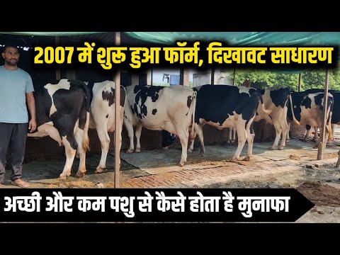 साधारण तरीके से गांव में कैसे करते है फार्म/dairy farm up/small dairy farm/hf cross cow/abs cow