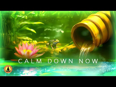 CALM DOWN NOW &#127811; 3 Hours of Relaxing Music for Sleep &amp; Meditation | Healing Frequency Music ☯3833