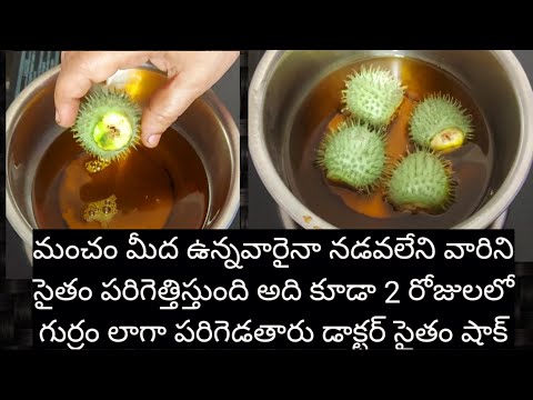 మంచం మీద ఉన్నవారైనా నడవలేని వారిని సైతం పరిగెత్తిస్తుంది అదికూడా 2రోజులలో గుర్రంలాగా పరిగెడతారు డాక