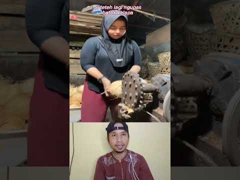 Alat pengupas batok kelapa #mesinpengupaskelapa #mesincanggih #shorts