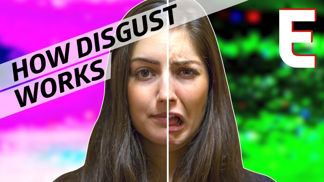 How the Feeling of Disgust Went From Life-Saving to Dangerous Gut Check