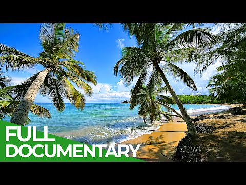 YouTube video thumbnail: Martinique: French Pearl in the Caribbean