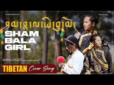 Shambala Girl | ཤམ་བྷ་ལ་ཡི་བུ་མོ  | Tibetan Cover Song 2025 |