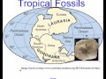 Continental Drift and Fossil Evidence