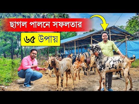 Best Goat Training | ছাগল পালনে সফলতার ৬৫ নিয়ম | Goat Farm | Goat Farming Online Training