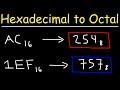 Binary, Hexadecimal, and Octal Conversions