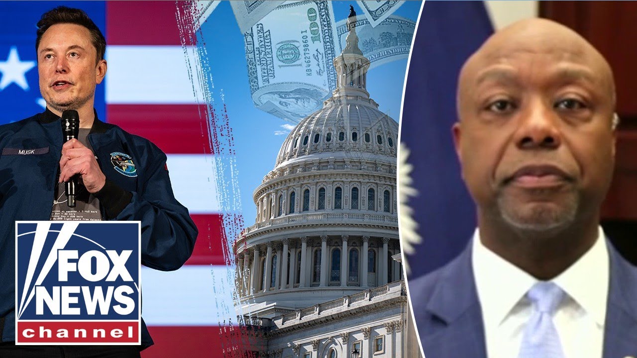 ‘WE WILL DO IT’: Sen. Tim Scott lauds GOP efforts to codify DOGE cuts