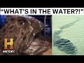 Mythical Creatures and Marine Phenomena