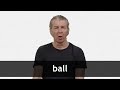 Understanding the Concept of 'Bull'