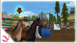 Závod a slevy | Stable Online | [CZ]