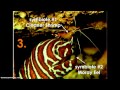 Symbiotic Relationships and Ecological Roles
