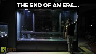 The Death of AntsCanada | Prequel: Origin Story