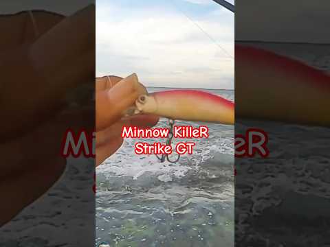 Minnow Killer Strike GT