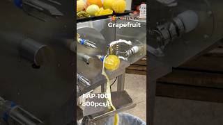 Ruby & White Grapefruit Peeling Machine — 800 pcs/hr | FAP-1001 | グレープフルーツ 皮むき機 匠助