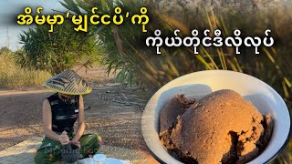 ငပိကို အိမ်မှာကိုယ်တိုင်လုပ်နည်း / ငပိလုပ်နည်း