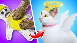 🔥 From Heaven to Hell! Angel & Devil Cats’ Life-to-Death Story