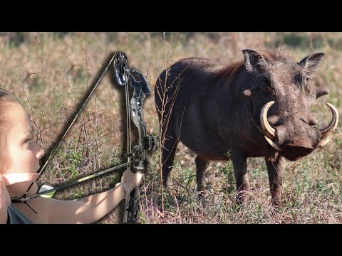 Savage WartHog and Impala with Bow! Catch Clean Cook Home Made Biltong Pizza