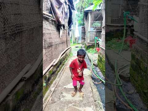 ডিম চুরি করেছে#Anam Entertainment Gallery #shorts #mama vagne #entertainment