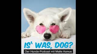 Entlaufener Hund? Der Trick einer Tennislegende hilft