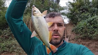 PESCARIA SAIU ATÉ PEIXE DESCONHECIDO, HOJE TAVA BOM!!!!!