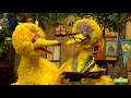 Big Bird and Granny Bird's Bond
