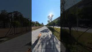 🚴‍♂️Biking in Kaohsiung 🇹🇼 near Neiwei #taiwan #kaohsiung #travel #vlog #biking #youbike