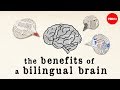 Understanding Bilingualism and Its Cognitive Effects