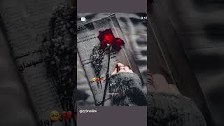 koi nahi ter siba yha manzile metale sare #video #trending #musicapp