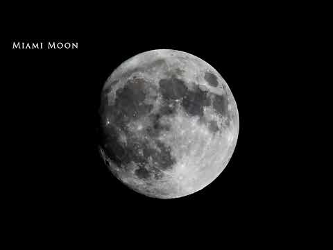Miami Moon